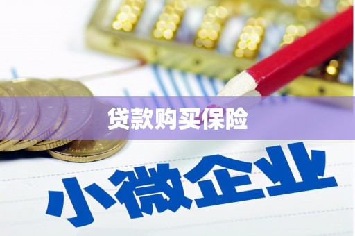 威远贷款购买保险