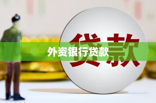 威远外资银行贷款