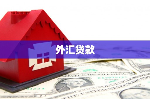 威远外汇贷款