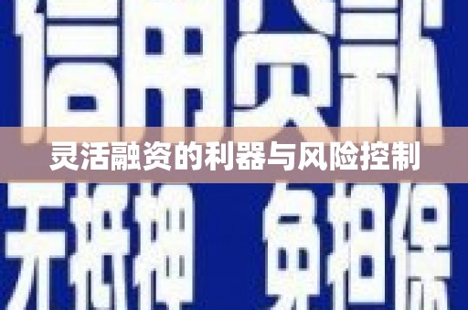 威远灵活融资的利器与风险控制