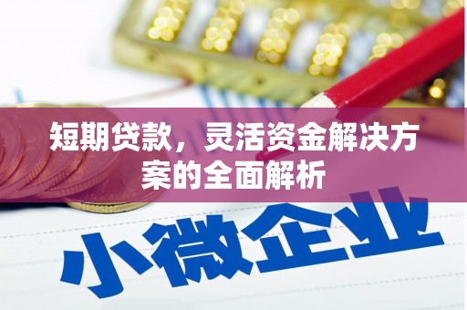 威远短期贷款，灵活资金解决方案的全面解析