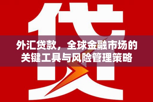 威远外汇贷款，全球金融市场的关键工具与风险管理策略