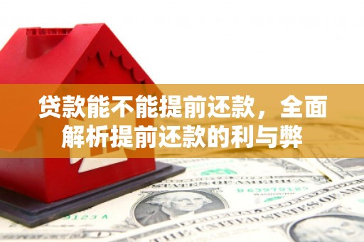 威远贷款能不能提前还款，全面解析提前还款的利与弊