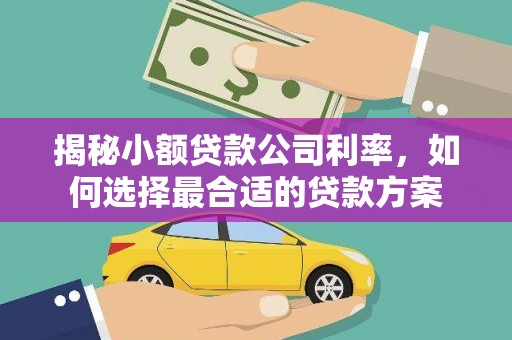 威远揭秘小额贷款公司利率，如何选择最合适的贷款方案
