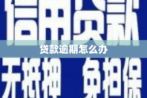 威远贷款逾期怎么办