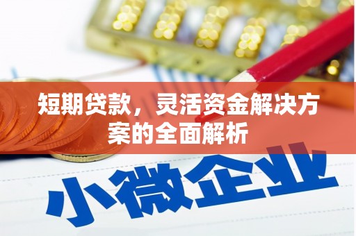 威远短期贷款，灵活资金解决方案的全面解析