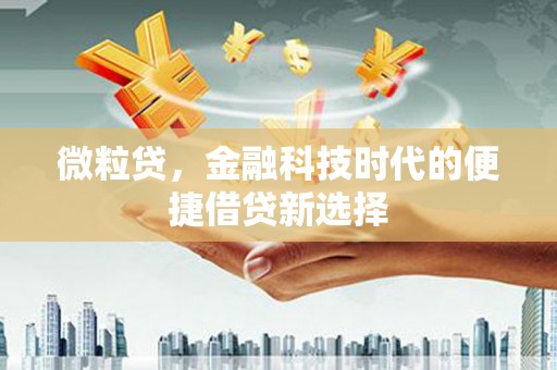 威远微粒贷，金融科技时代的便捷借贷新选择