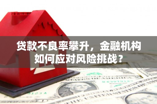 威远贷款不良率攀升，金融机构如何应对风险挑战？