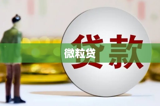 威远微粒贷