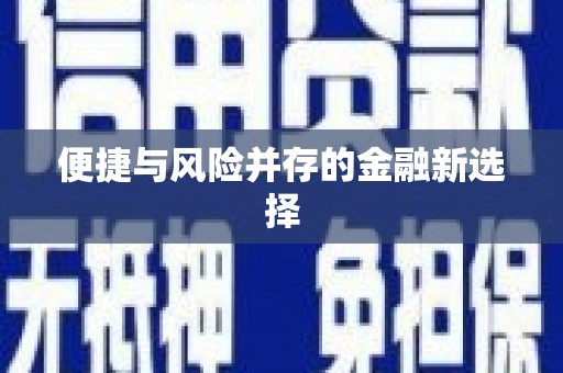 威远便捷与风险并存的金融新选择