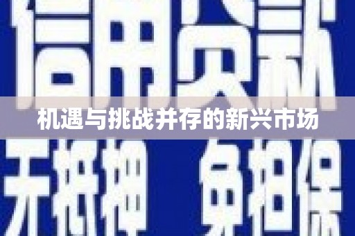 威远机遇与挑战并存的新兴市场